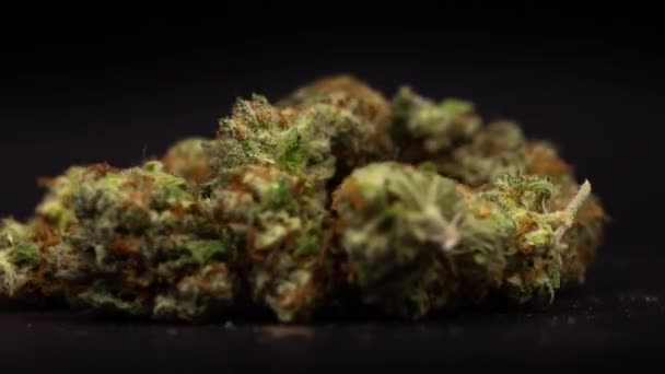 Pąki marihuany wirujące na czarnym tle — Wideo stockowe