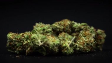 Çantada marihuana tomurcukları