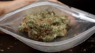 Çantada marihuana tomurcukları