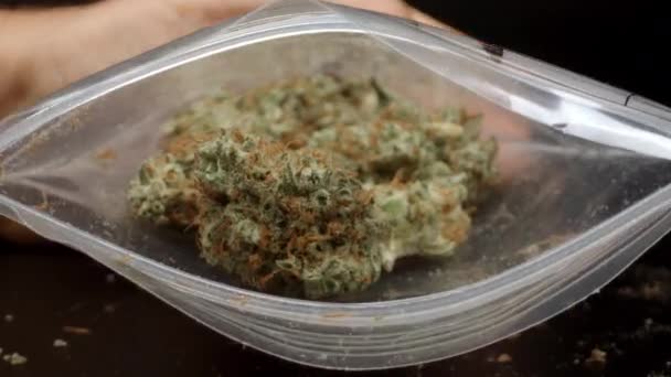 Çantada marihuana tomurcukları — Stok video