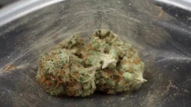 Marijuana knoppar i en påse — Stockvideo