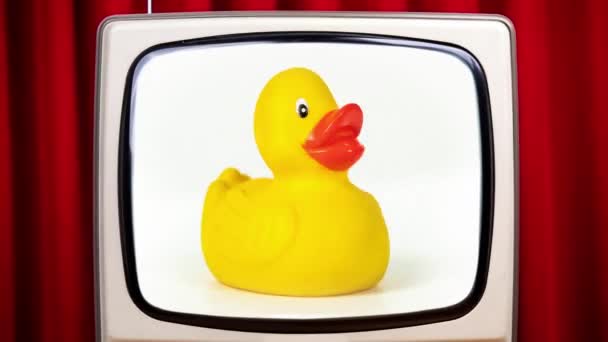 Un canard en caoutchouc jouet tournant sur l'écran sur une télévision — Video