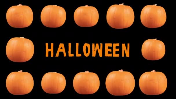 Pumpkins spinning halloween szó — Stock videók