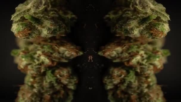 Marijuanabølger som snurrer rundt mot svart bakgrunn – stockvideo