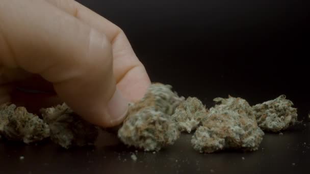 Marihuana toppen in een vingers tegen zwart — Stockvideo