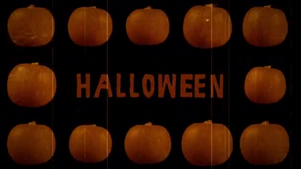 Řady halloweenských dýní — Stock video