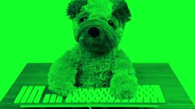 Oyuncak ayı klavyede yazıyor.