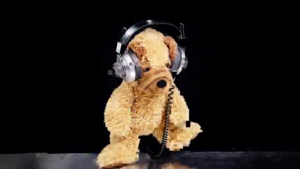 Teddy cão se movendo com fones de ouvido — Vídeo de Stock