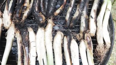 Barbeküde katalizör var. 