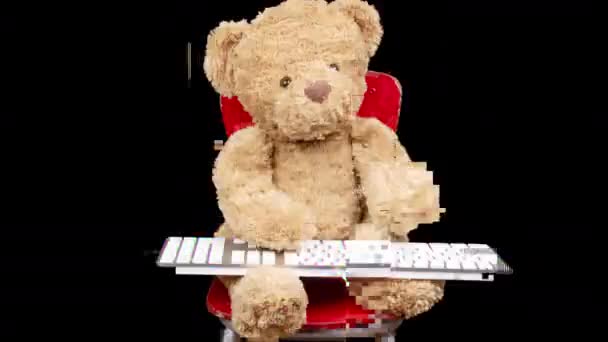 Ours en peluche tapant sur le clavier — Video