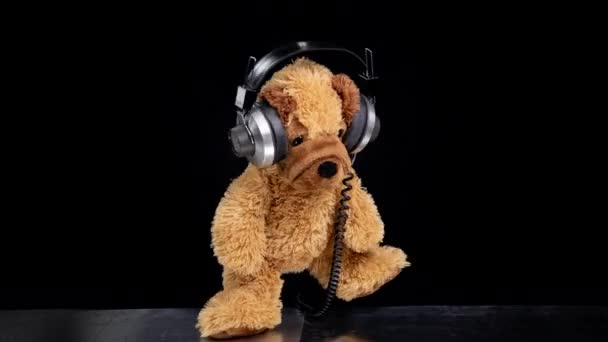 Teddy hund flyttar runt med hörlurar — Stockvideo