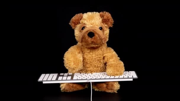 Teddyhund tippt auf Tastatur — Stockvideo