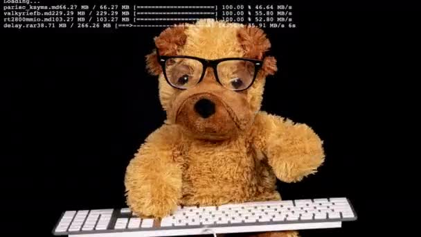 Teddy hund skriva på tangentbordet — Stockvideo