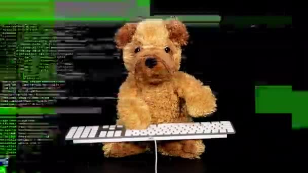 Teddy hond typen op toetsenbord — Stockvideo