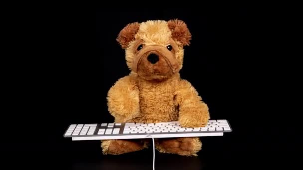 Teddyhund tippt auf Tastatur — Stockvideo