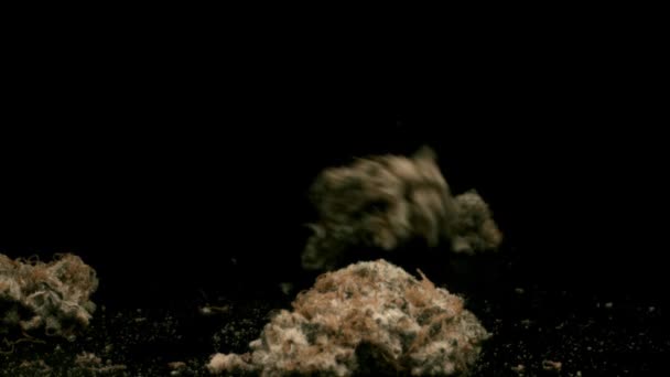 Маріупольські бруньки падають на чорний фон — стокове відео