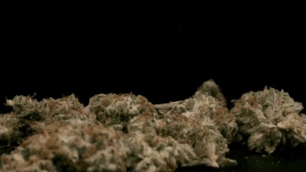 Marihuana knoppen vallen tegen zwarte achtergrond — Stockvideo