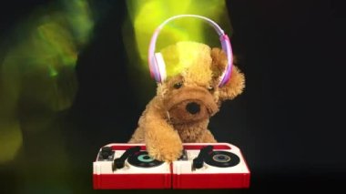 Oyuncak köpek kulaklıklı tunrtable 'larda DJ' lik yapıyor.