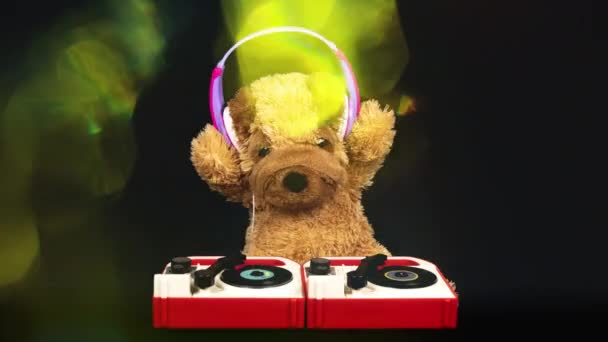 Teddy hund flyttar djing på tunrbord med hörlurar — Stockvideo