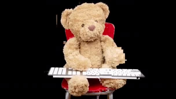 Teddy björn skriva på tangentbordet — Stockvideo