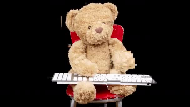 Teddy bear typing on keyboard — Stock Video © dubassy