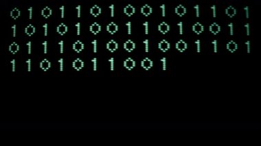 İkili sayılar ve veri bilgisayar kodu