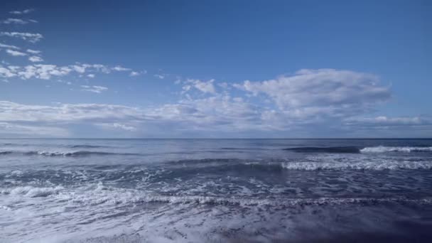 Una spiaggia e un mare al mattino — Video Stock