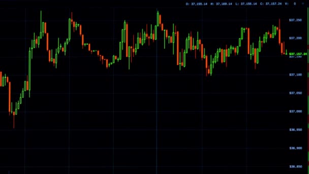 Bitcoin cryptocurrency data diagram — Stockvideo