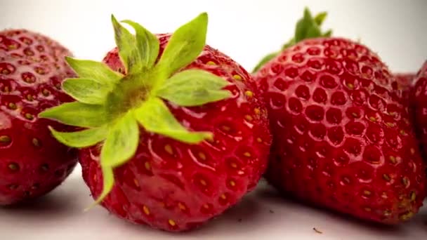 Makro skott av jordgubbar på vita — Stockvideo