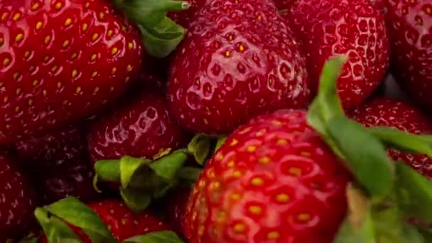 Makro skott av jordgubbar på vita — Stockvideo