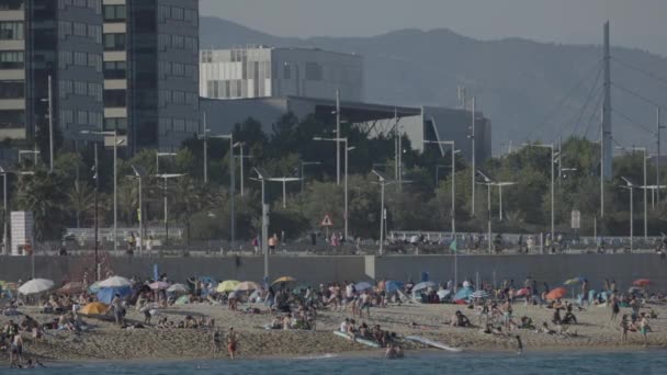 People on the beaches of barcelona — Stock Video