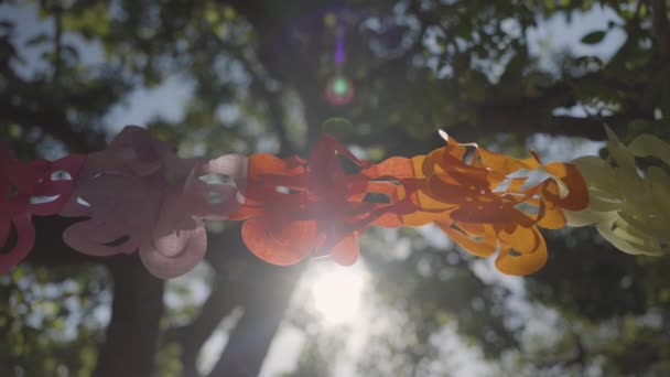 Bunting hängande i solljus — Stockvideo