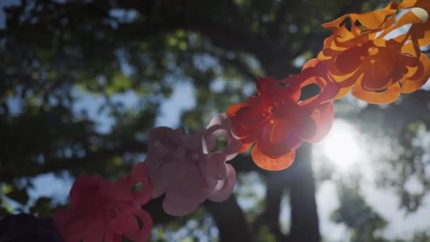 Bunting hanging in sunlight — Stock Video