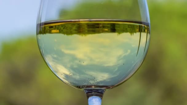 Ποτήρι λευκό κρασί κατά του γαλάζιου ουρανού — Αρχείο Βίντεο