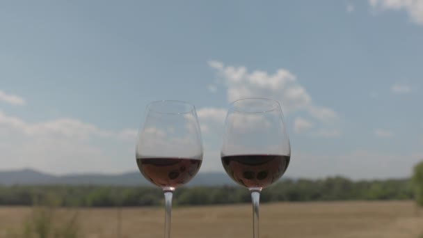 Hands holding wine glasses for cheers — Stock Video