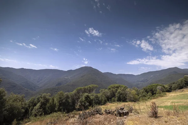 Schöne berglandschaft von montseny — Stockfoto
