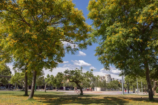 Parque de la ciudad en barcelona con árboles — Foto de Stock