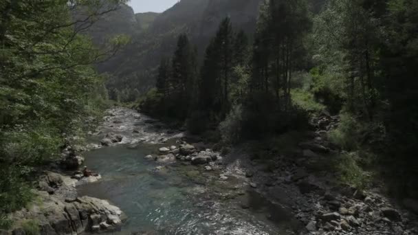 Тече річка зі скелями — стокове відео