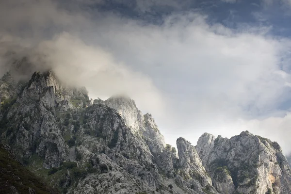 Mountains in the picos de europa, spain — Stock Photo, Image