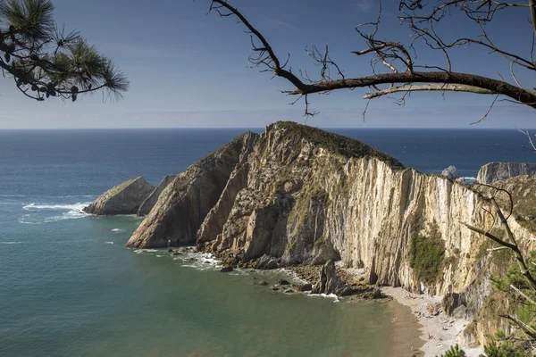 Kum plaj bulunan Galiçya, İspanya