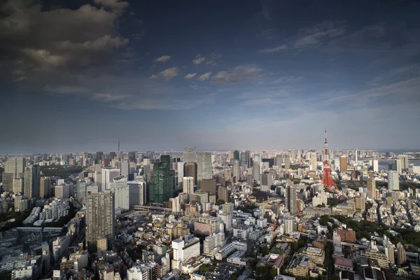 Erstaunliche Tokyo-Skyline — Stockfoto
