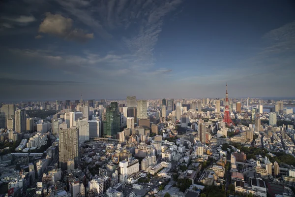 Erstaunliche Tokyo-Skyline — Stockfoto