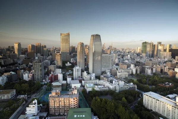 Amazing tokyo skyline — Stock Photo, Image
