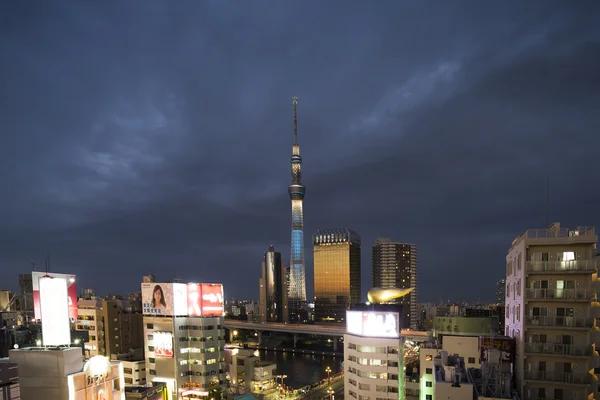 Sky tree tokyo skyline — Stockfoto