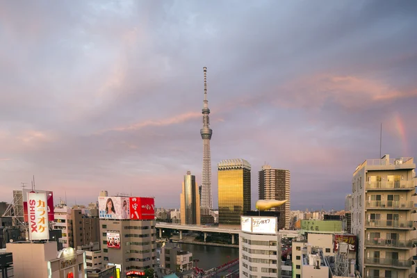 Niebo drzewo panoramę Tokio — Zdjęcie stockowe