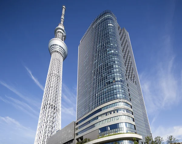 Himmelsbaum-Tokyo — Stockfoto