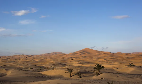 Dunas de areia Erg Chebbi — Fotografia de Stock