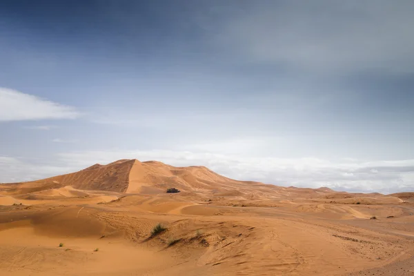 Dunas de areia Erg Chebbi — Fotografia de Stock