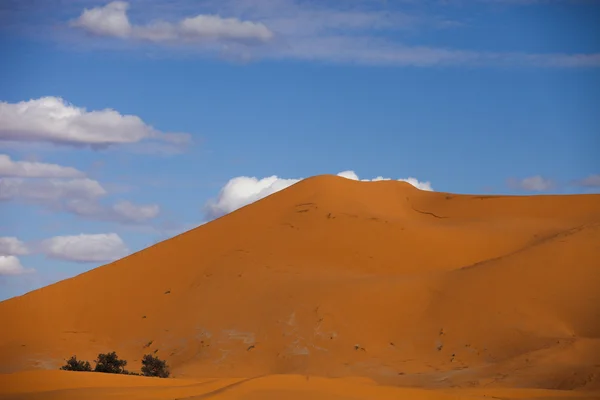 Erg chebbi sand dunes — Stock Photo, Image