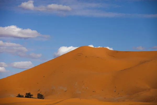 Dunas de areia Erg Chebbi — Fotografia de Stock